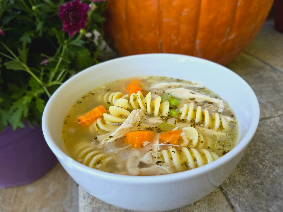 Steaming bowl of classic chicken noodle soup with tender chicken pieces, colorful vegetables, and egg noodles in clear broth, garnished with fresh herbs