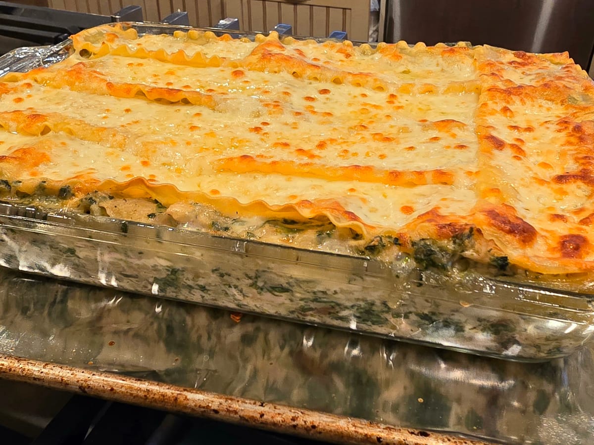 Creamy white chicken lasagna with golden-brown top layer and melted cheese, showing rich velvety sauce and pasta layers on a plate
